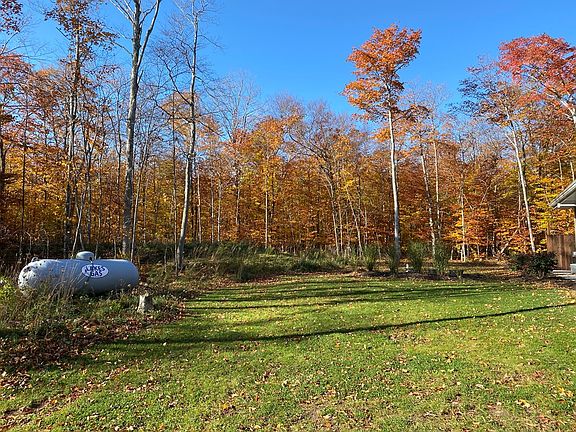 5th image of 10255 Settlement Ln