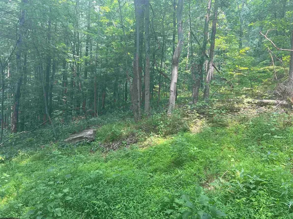 Rock Camp Rd, Wallace, WV 26448