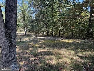 3rd image of 0 Palmer Rd