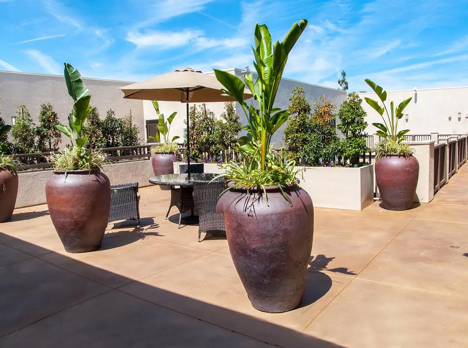 La Buena Ventura Apts...Brand New Building...Amazing Views! — Photo 3