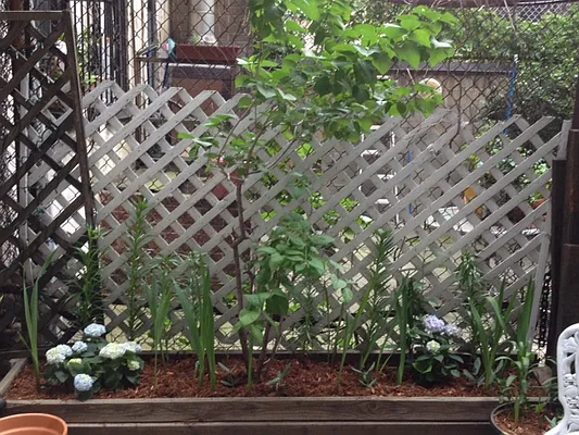 Rented by Prince Real Estate Associates LLC | media 17