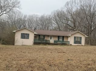 538 Mount Nebo Rd, Iron City, TN 38463