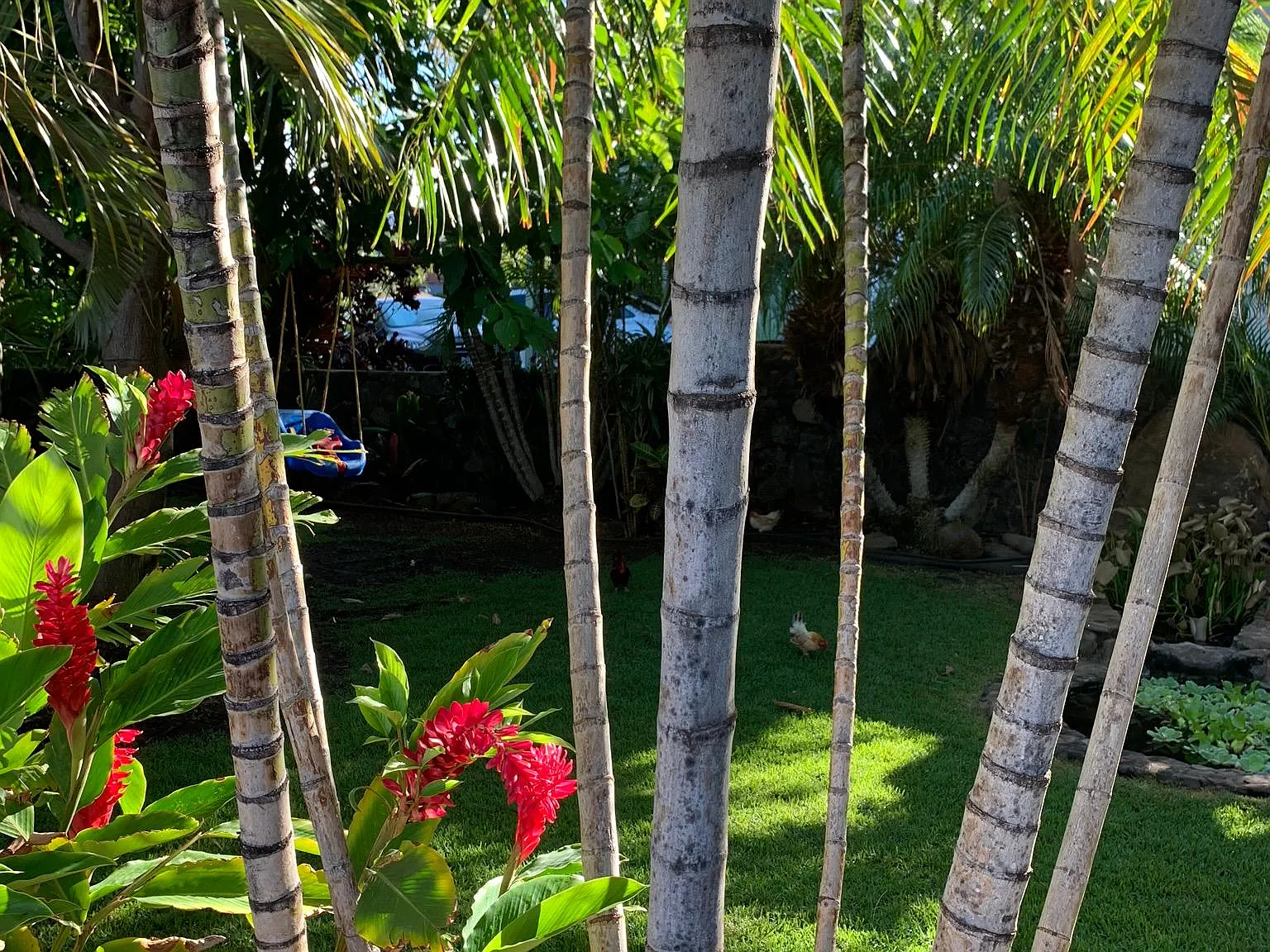 115 Honuhula Pl — Photo 1