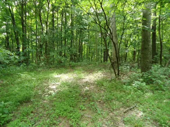 616 Star Point Rd, Celina, TN 38551