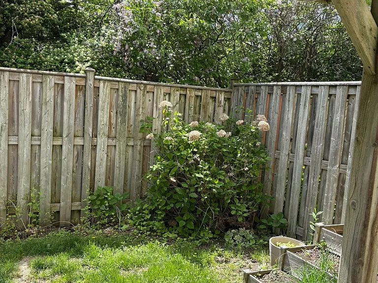 30 McDermot Ct #45 — Photo 27