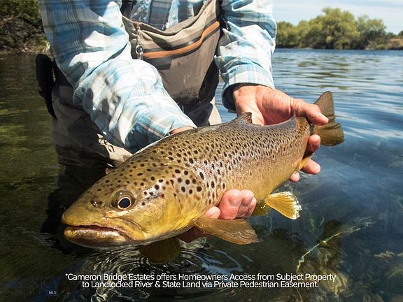 3rd image of 4 Rocking Horse Dr