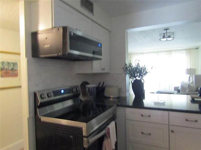 4516 Longwater Chase #29 — Photo 6