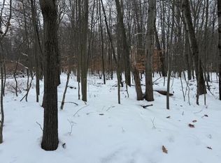 12066 Red Feather Ln, Stanwood, MI 49346