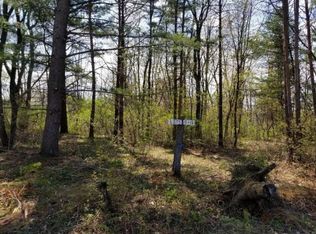 Lynn Ave, Evart, MI 49631