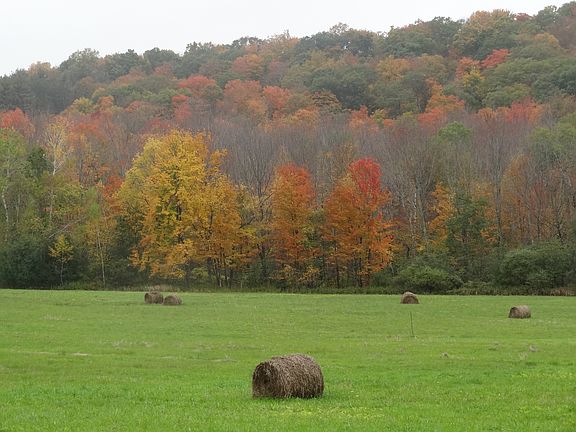 View from front yard
