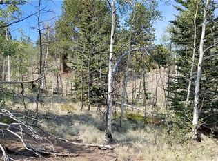 1031 Ute Trl, Como, CO 80432