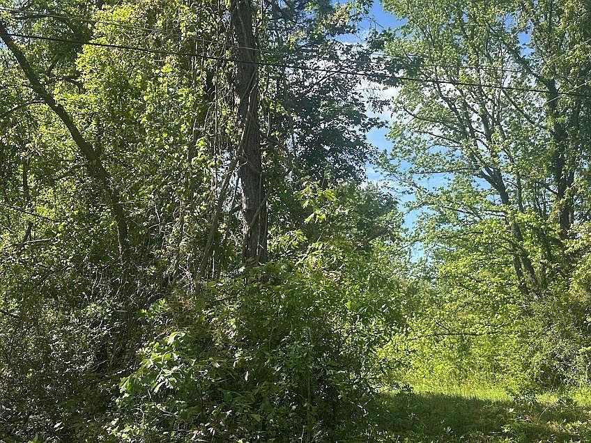 1st image of 0 Pearson St