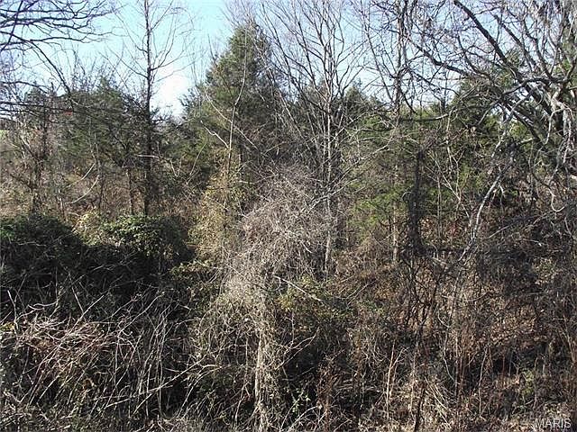 1st image of 12253 Peter Moore Ln