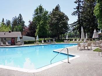 3rd image of 743 Cottage Dr