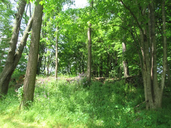 South St, Marcellus, MI 49067
