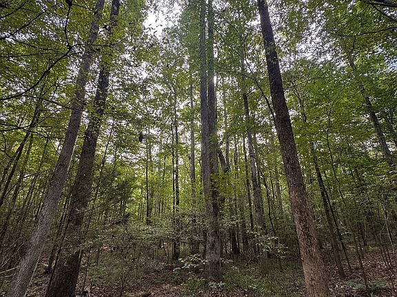 5th image of 0 Walker Rd