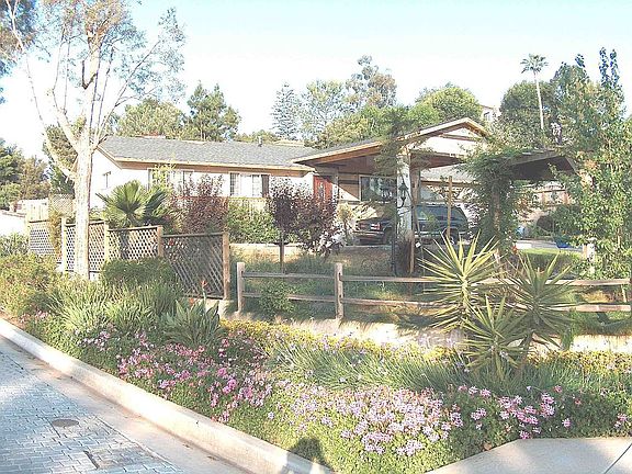 early years before the plants grew in!