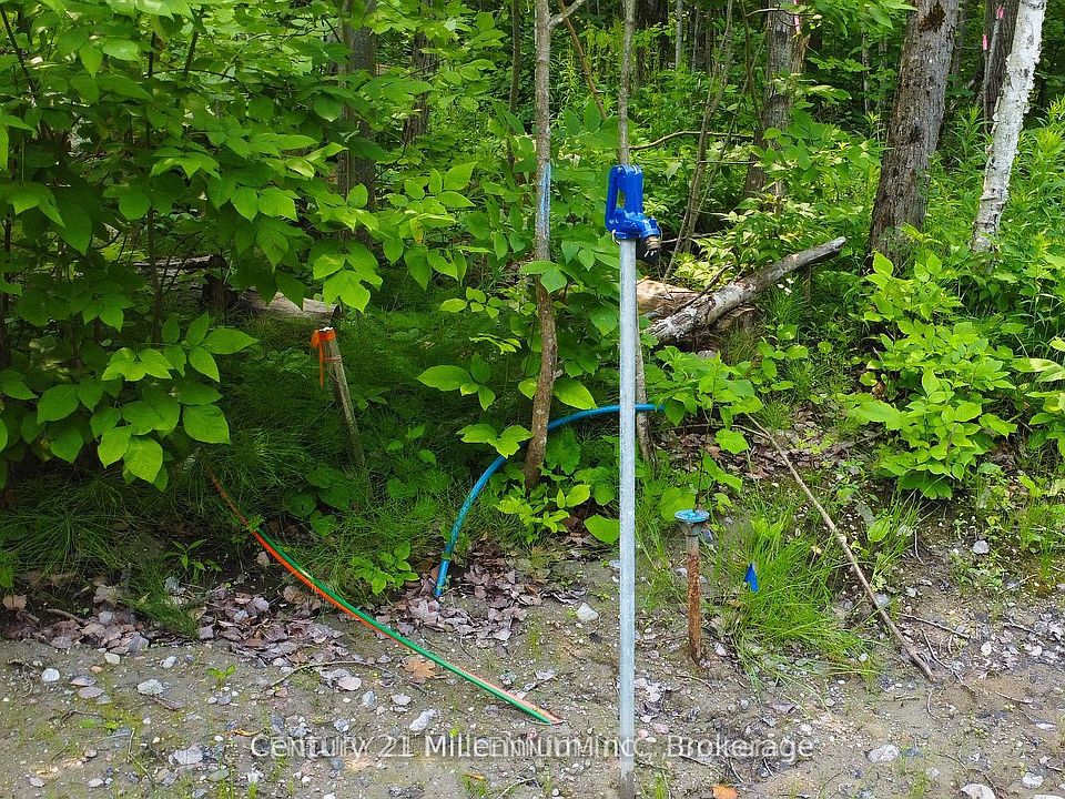 1st image of 52 Tiny Beaches Rd N