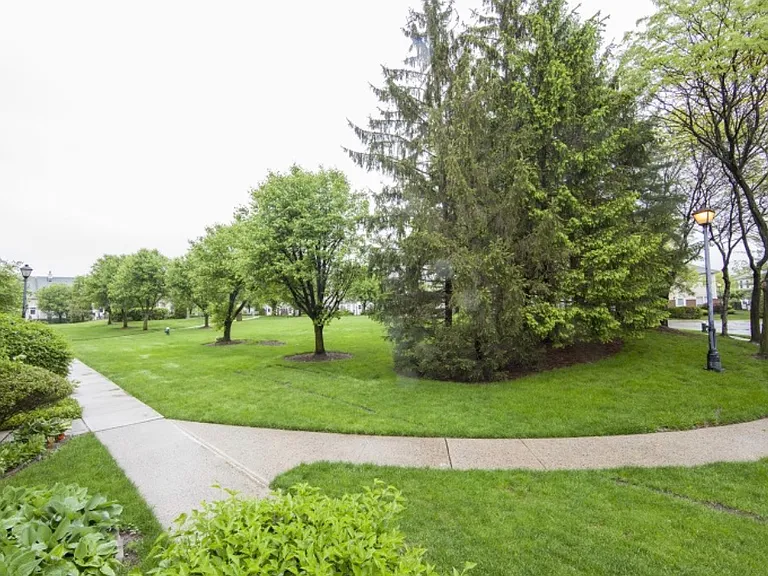 50 Pine St #315 — Photo 10