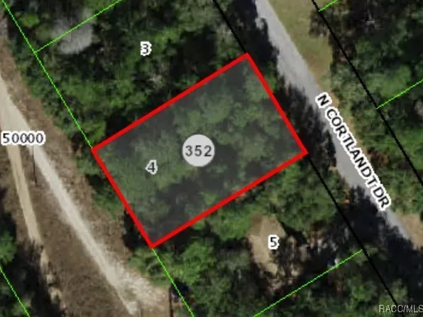 8942 N Cortlandt Dr, Citrus Springs, FL 34434