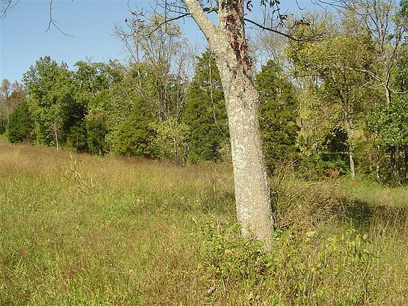 3rd image of 625 Lucas Ln Lot 12