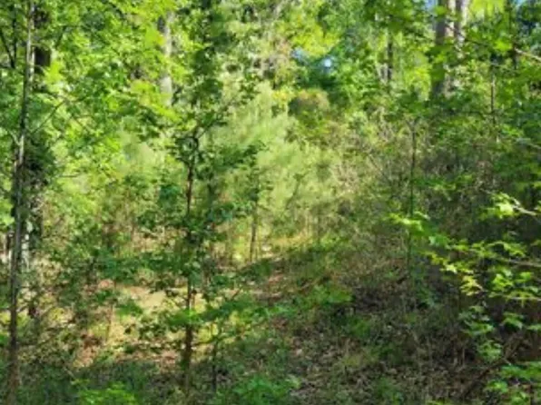 0 Winding Creek Dr, Trinity, TX 75862