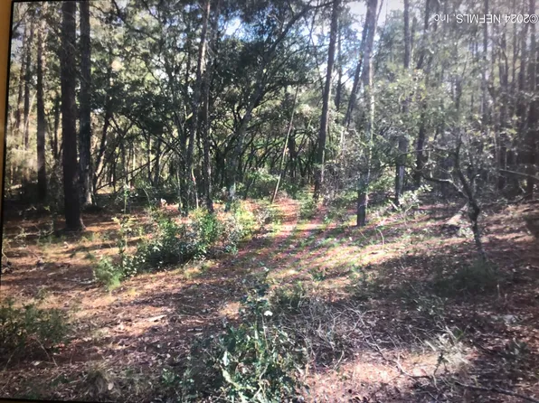 109 NEVADA Drive, Satsuma, FL 32189