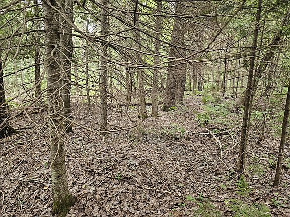 2nd image of 0 W Country Rd #H40