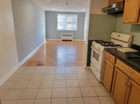 307 E Clarkson Ave, Philadelphia, PA