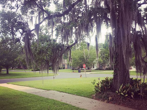 View from front porch 