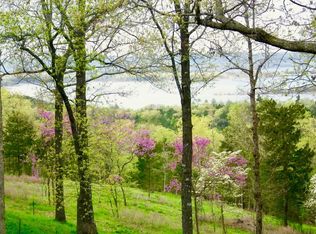 1221 Skyview Dr, Branson, MO 65616