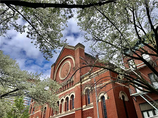 Rented by 18 REALTY | media 45