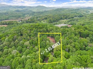6 Meadowview Rdg, Clarkesville, GA 30523