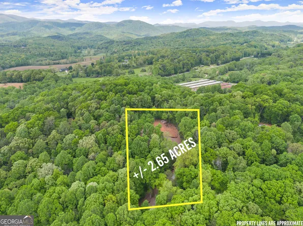 6 Meadowview Rdg, Clarkesville, GA 30523