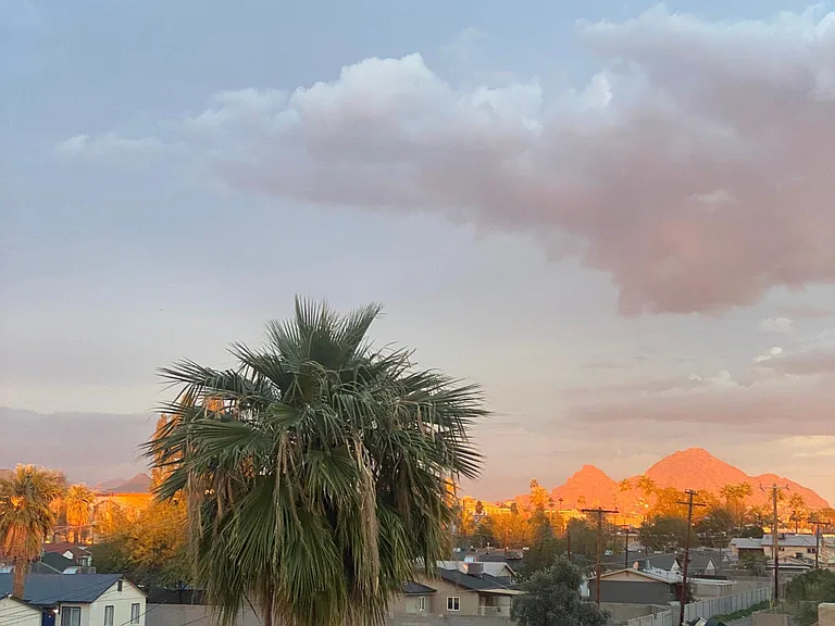 View from patio at sunset