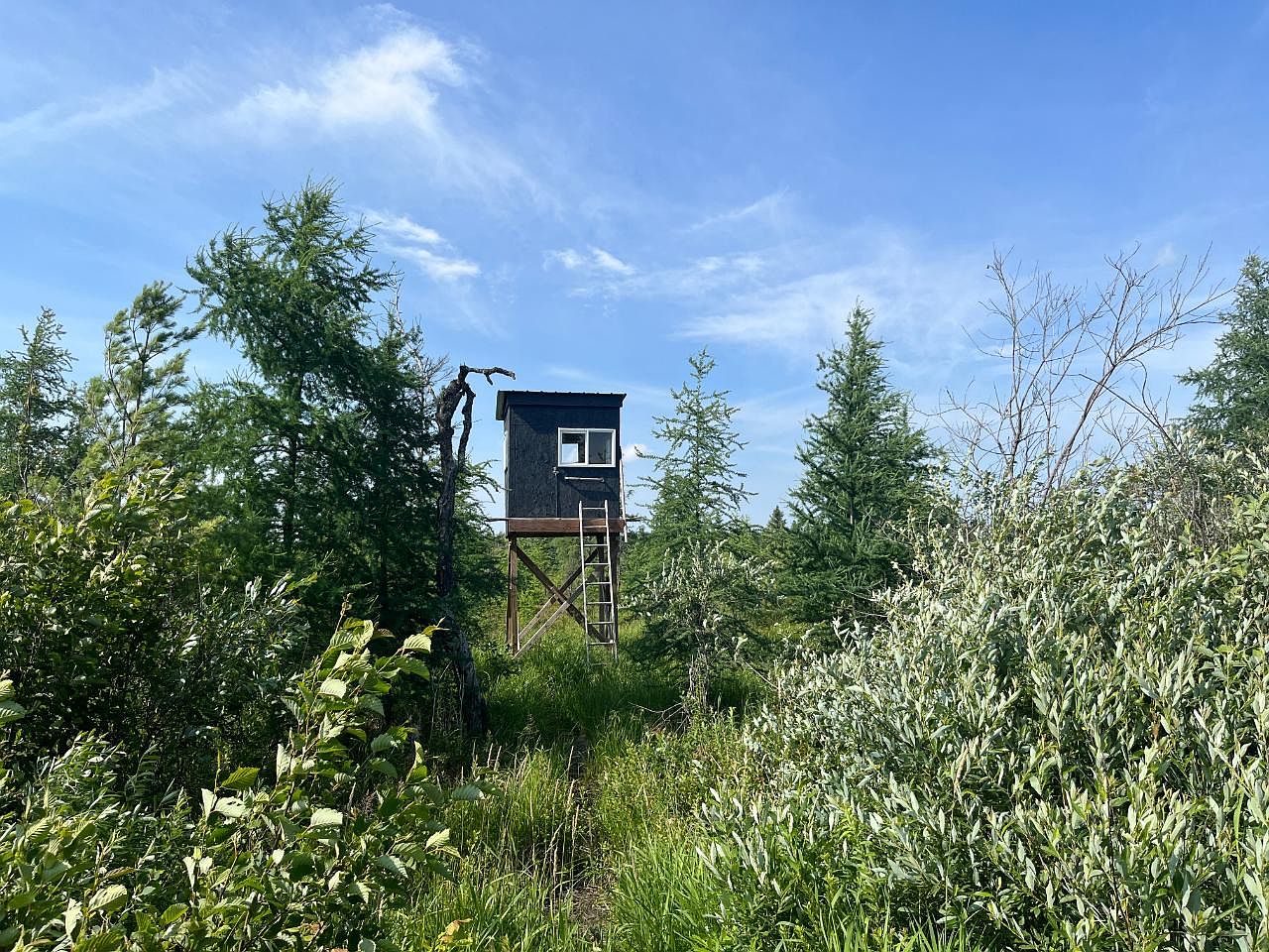 N5304 Cth A, Prentice, WI 54556 MLS 203663 Zillow