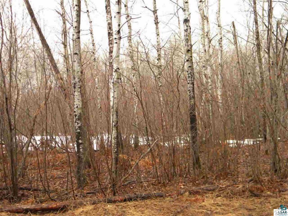 2nd image of Parcel 1 County Rd W
