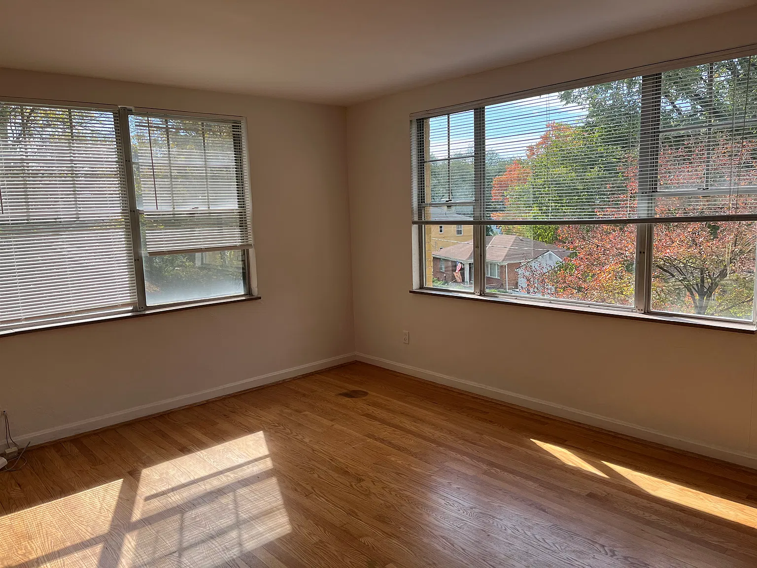 Studio, 500 sqft, $825 — Photo 2