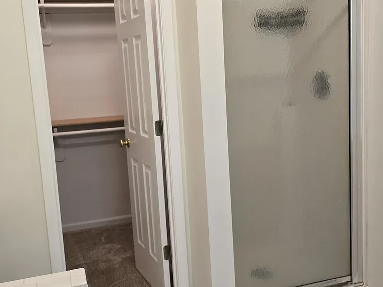 Primary bath, shower, walk-in closet