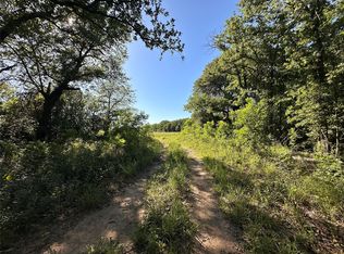 0 County Road 428, Rising Star, TX 76471