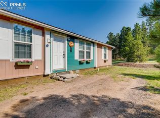 491 Rhyolite Ln, Florissant, CO 80816