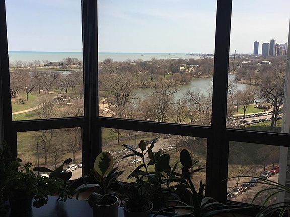 View from Living room