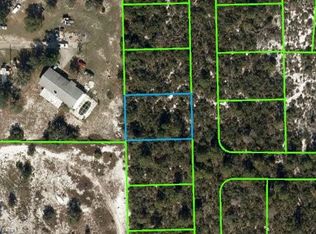 545 Carousel Ln, Lake Placid, FL 33852