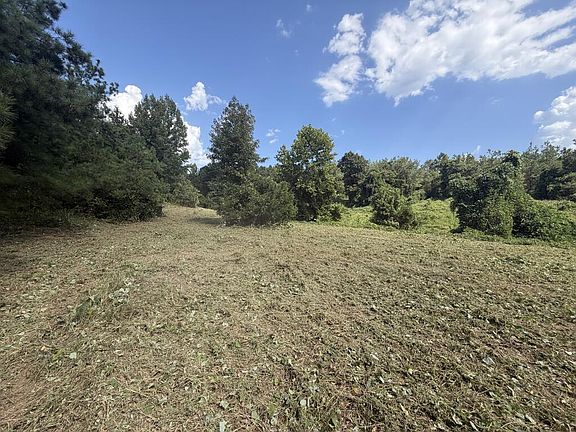 4th image of 181 County Road 415