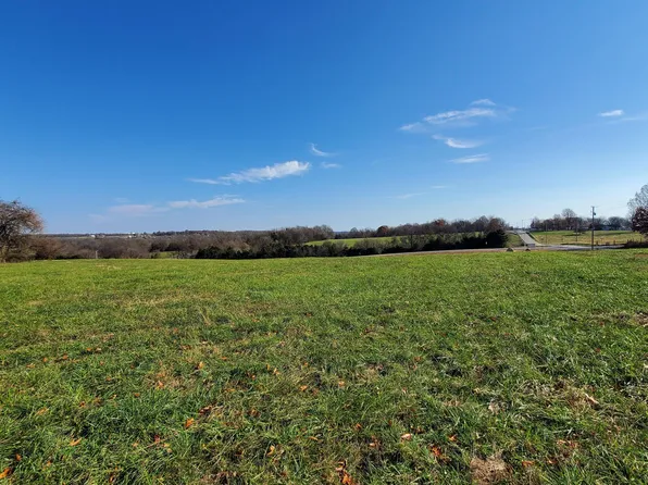 6577 S Lock Lane (Lot 1), Republic, MO 65738