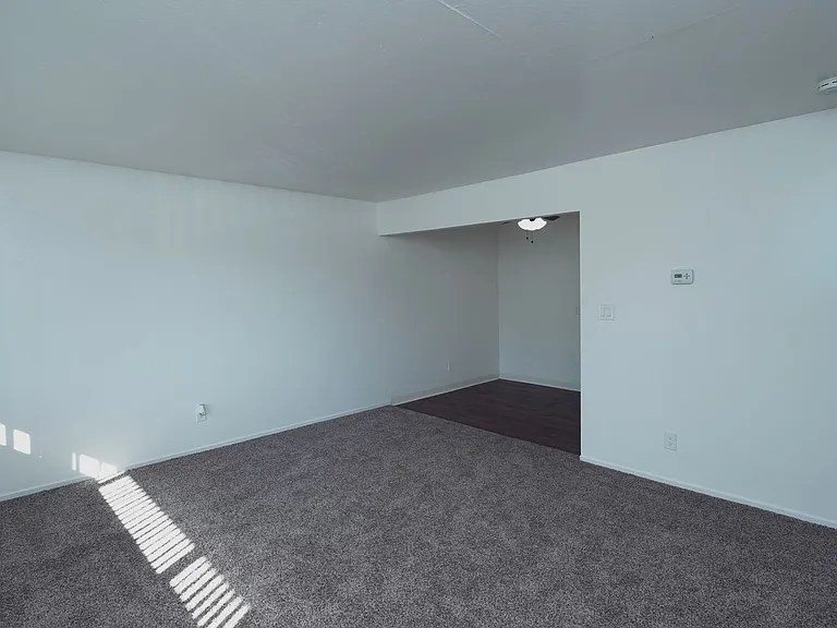 (NEW) Annadale Place — Photo 15