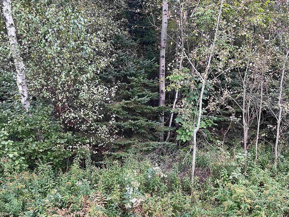 2nd image of 0 Oregon Road #3