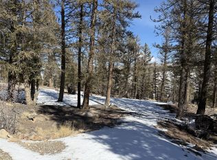 806 Middle Fork Vis, Fairplay, CO 80440