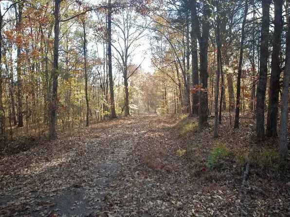 120 Schultz Rd, Beech Bluff, TN 38313