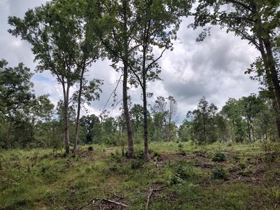 576 Red Hill Rd, Edgefield, SC, 29824